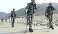 Two Koreas begin to remove landmines in demilitarized zone