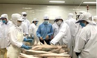 VN’s efforts to fight IUU fishing praised 