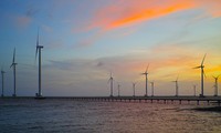 Bac Lieu boasts potential for wind power development