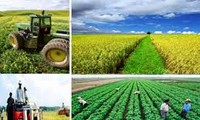 Agriculture restructures toward modernization and sustainability