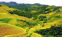 Hoang Su Phi terraced fields, masterpieces of minority groups