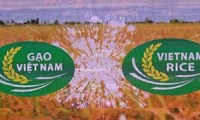 Third Vietnam Rice Festival opens