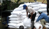 Food relief for Tet delivered to localities 