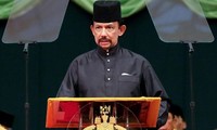 Sultan of Brunei to pay State visit to Vietnam