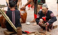 New rice ceremony of the M’nong Gar