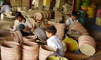 Vietnam acts to prevent child labor