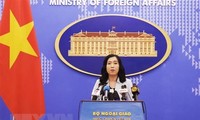 Vietnam values comprehensive partnership with US: spokesperson