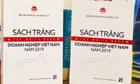 1st White Book on Vietnamese businesses 2019 released 