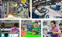 Vietnamese enterprises make the most of EVFTA