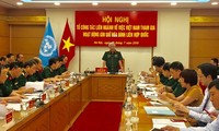 Vietnam contributes to UN peacekeeping efforts