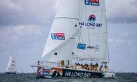 Vietnam participates in Clipper Round the World