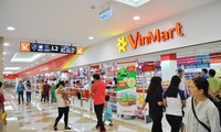 Singapore fund pours 500 million USD in Vingroup