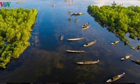 Quang Loi lagoon – a must-visit destination in Tam Giang lagoon system