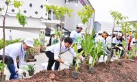 Japanese AEO group contributes to build green and clean Hanoi