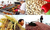 Vietnamese farmers: Opportunities and challenges in global integration