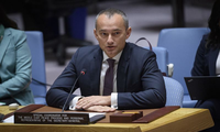 UN envoy: Jewish settlements in occupied Palestinian territory harms two-state solution