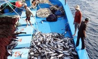 EC acknowledges Vietnam's improvement in combating IUU fishing