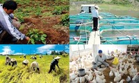 Vietnam’s agriculture continues to grow in 2019