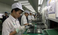 Recommendations for EU-Vietnam FTA, IPA adopted 