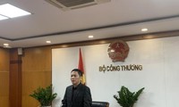 Vietnam seizes EVFTA opportunities, develops domestic market