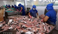 US cuts anti-dumping taxes on Vietnamese catfish products