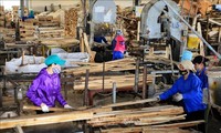 Vietnam’s wood export targets 12 billion USD