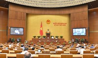 Tax exemption for agricultural land use aimed at Vietnam’s sustainable development