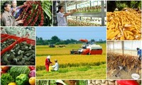 How does EVFTA mean to Vietnamese agriculture?