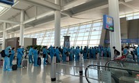 310 Vietnamese citizens repatriated from Republic of Korea