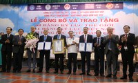 Vietnamese pottery manufacturer sets two world records