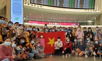 More flights bring Vietnamese citizens home