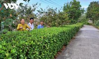 Role-model residential areas in Ca Mau province