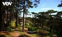 Top attractions in Da Lat City