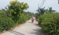 Son Dong commune, Ben Tre province, full of new vitality