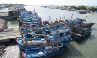 Vietnam makes progress in fight against IUU fishing