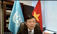 Vietnam shares experience in social development through digital technology at UN