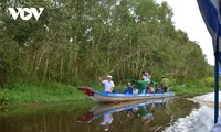 Farmers in Ca Mau province engage in eco-tourism