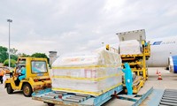 97,000 Pfizer/BioNtech COVID-19 vaccine doses arrive in Vietnam