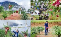 Unique weddings in Vietnam during COVID-19 pandemic