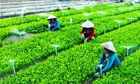 Vietnam promotes cooperation for sustainable agricultural development