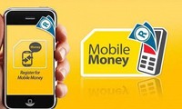 Risk control prioritized when launching Mobile Money service