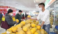 Spring Fair 2022 offers goods for Tet