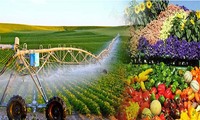 Strategy approved for sustainable agricultural and rural development in 2021-2030 period