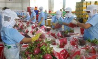 Vietnam strengthens farm produce exports to China