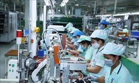 Vietnam’s economy recovers and develops sustainably