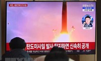 Pyongyang fires eight short-range ballistic missiles off east coast: S.Korean military