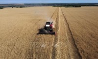 Ukraine preparing to export grain from ports  