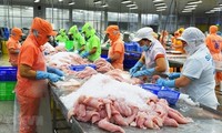 Mexico becomes Vietnam's third largest tra fish importer 