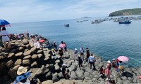 Binh Dinh, Phu Yen, Khanh Hoa co-organize 1 tour-3 destinations for international guests