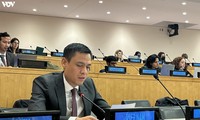 Vietnam calls for global effort to promote sustainable development